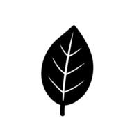 Minimal black leaf icon with white vein lines vector