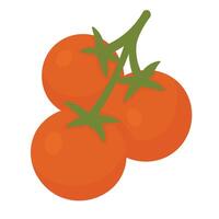 Cartoon illustration of a bunch of red tomatoes with green stems isolated on white background. vector
