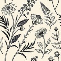 Botanical Engraving Style Design with Parchment Texture vector