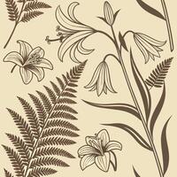 Black and white line art garden flowers and ferns delicate sketch style botanical drawings for prints and patterns vector