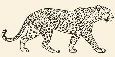 Elegant Black and White Illustration of a Walking Leopard vector