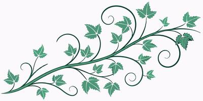 Elegant Green Vine with Swirling Branches and Detailed Leaves Design vector