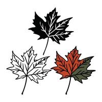 Fall Autumn Leaves Leaf SVG Digital Instant vector