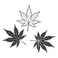 Three maple leaves are shown with a cross on the vector