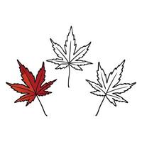 Three maple leaves are shown with a cross vector