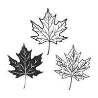 Three maple leaves are shown with a cross on the top vector