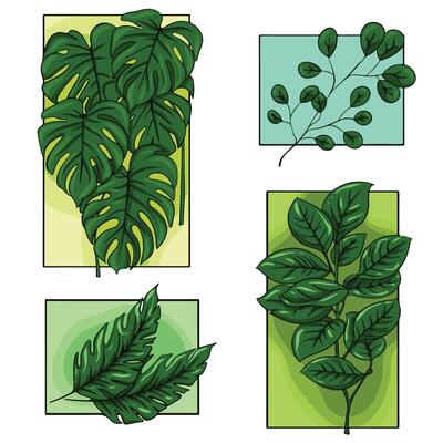 collection set of green leaves illustration art