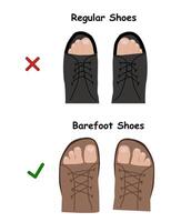 Barefoot shoes. Compare regular barefoot shoes. This shoe has a flexible upper and outsole that allows the feet to move and flex naturally, and effectively engage every bone vector