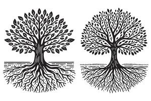 two tree with roots and leaves vector