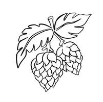 Line hops, hand drawn illustration vector