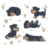 Set of dogs in different poses, colored cartoon vector