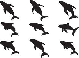 Set of dolphin silhouette on transparent background vector