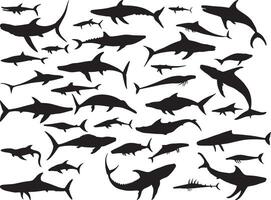Set of Ichthyosaurus silhouette vector