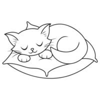 kitten sleepimg on bed vector