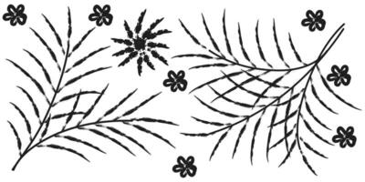 Hand-drawn illustration of branches with long leaves and flowers set for summer on white background. vector