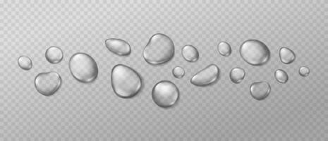Realistic water drops. Condensation on window wet surface. 3D clear water drops and dew, liquid bubbles on transparent background. Isolated droplets set vector