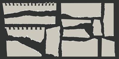 Torn paper sheet. Notebook pages with ripped edges, empty white torn paper pieces for scrapbook moodboard. Templates for memo messages and info board. isolated set vector