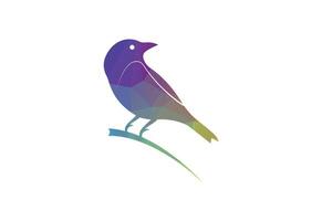 Low poly with colorful bird logo design, design Template. vector