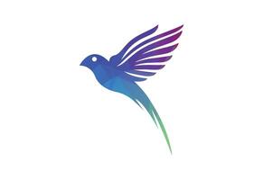 Low poly with colorful bird logo design, design Template vector
