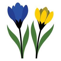 Crocus Bloom Line Art Design vector