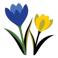 Spring Crocus Floral Graphic vector