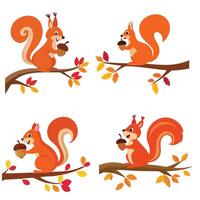 Joyful Squirrel Holding Acorn Bundle Set vector