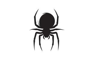 Black spider silhouette on white background vector