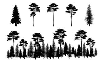 Set of silhouettes of coniferous trees illustration. vector