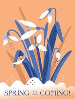 Snowdrop Day. Banner with snowdrops in snow. Spring is coming. Spring wildflower. illustration vector