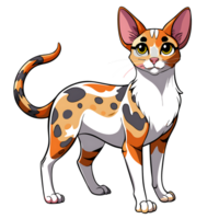 Japanese Bobtail cat standing with distinct coat pattern png