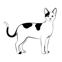outline of Japanese Bobtail Cat in standing pose with black markings png