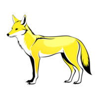Yellow coyote standing confidently against a clear background in a minimalist style png