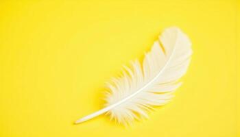 Close up of bright white feather. Copy space, yellow background. Fashion and Party concept. photo. photo