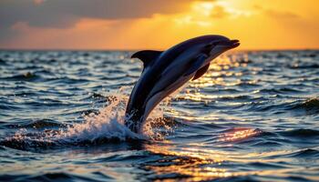 Dolphin gracefully leaping out of the sea at sunset, framed by golden skies and sparkling water, embodying joy and freedom. photo
