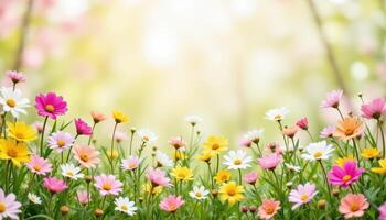 Spring meadow with mixed flowers, fresh bloom, sweet floral scent concept, pastel color palette, commercial photo