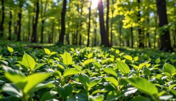 Green leaves growing in lush summer forest, fresh nature vitality photo