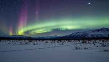 northern lights over a tundra photo