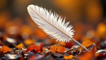 Fluffy feather symbolizing love, vibrant autumn background filled with soft golden tones photo