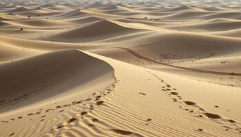 a windy desert dune with soft ripples in the sand and camel tracks fading into the distance. photo