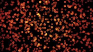 Enhance your projects with this mesmerizing Flickering Bokeh Lights Background in HD. Perfect for titles, transitions, music visuals, video