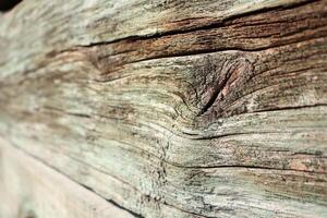 A CloseUp Perspective of Weathered Wooden Texture Reveals Intricate Details and Patterns photo