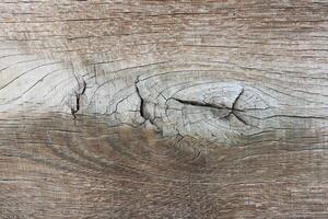 A CloseUp View of a Textured Wooden Surface Featuring Natural Cracks and Unique Patterns photo