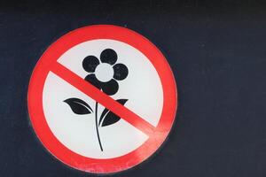 Please refrain from bringing or placing flowers in these areas as they are prohibited photo