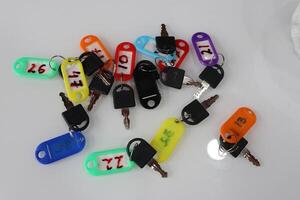 Bright and Colorful Keys with Tag Labels, Perfect for Effective Organization and Management photo