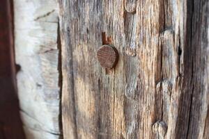A CloseUp Image Depicting Weathered Wood Featuring an Old Rusty Nail Embedded Within It photo