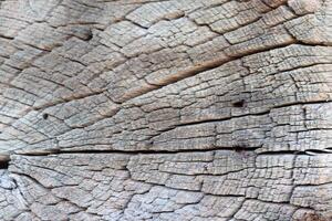 Closeup of weathered wood textures, highlighting unique patterns and designs in nature photo