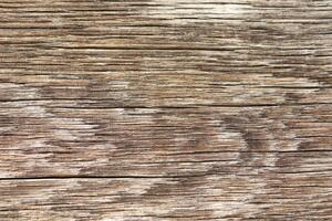 Weathered Wooden Surface Featuring Unique Natural Textures and Intricate Patterns photo