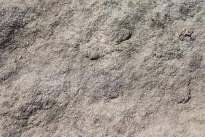 Textured Rock Surface with Imprints Found in Natures Vast and Complex Environments photo