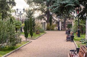A park with benches and trees in the middle of a city photo