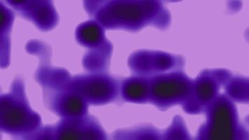 Bright abstract purple fluid shapes with soft blurred gradients background suitable for background video